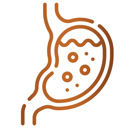 Frequent Digestive Issues