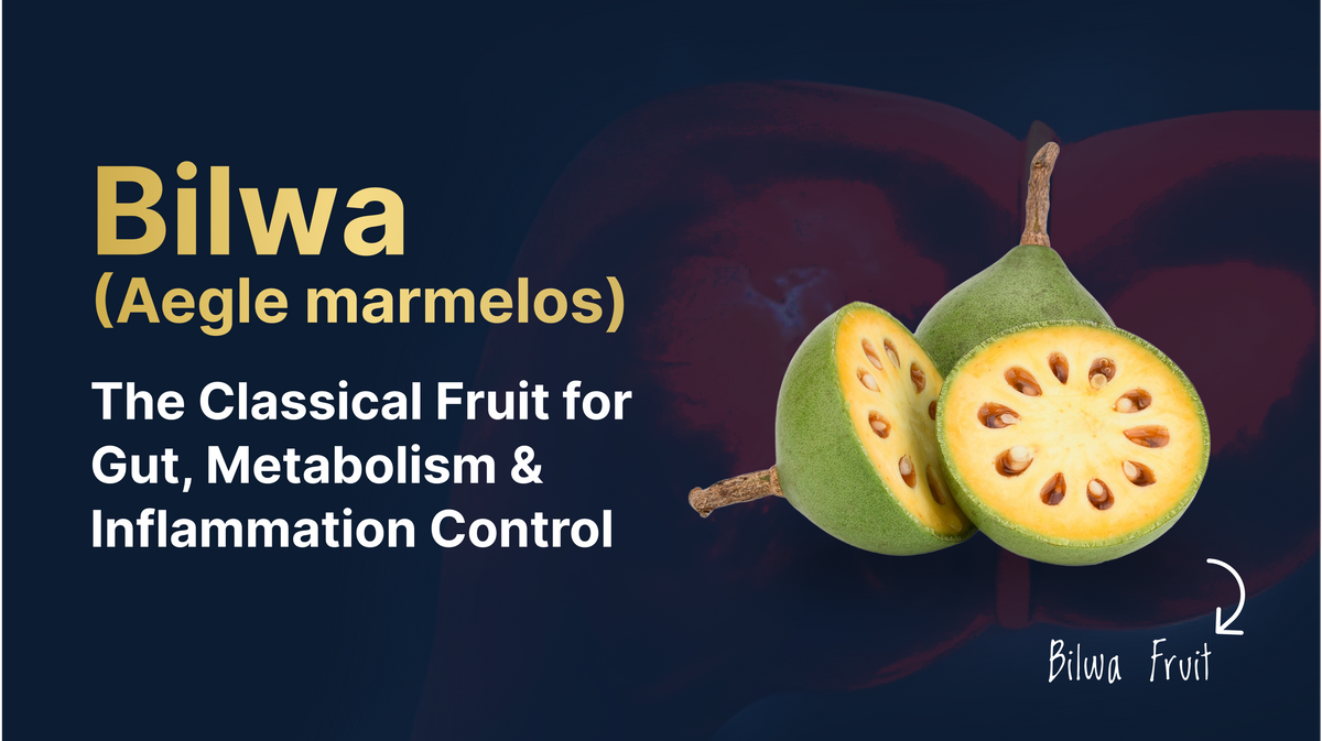 Bilwa (Aegle marmelos): The Classical Fruit for Gut, Metabolism and Inflammation Control