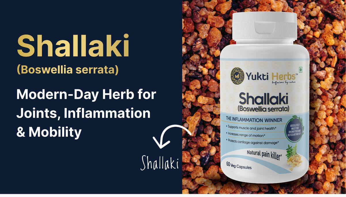 Shallaki – Boswellia serrata: Modern-Day Herb for Joints, Inflammation & Mobility