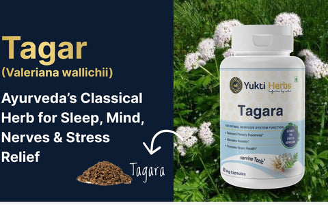 Tagar (Valeriana wallichii): Ayurveda’s Classical Herb for Sleep, Mind, Nerves & Stress Relief