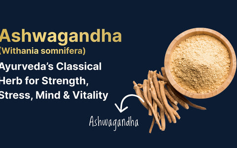 Ashwagandha (Withania somnifera): Ayurveda’s Classical Herb for Strength, Stress, Mind & Vitality