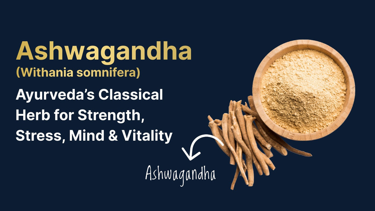 Ashwagandha (Withania somnifera): Ayurveda’s Classical Herb for Strength, Stress, Mind & Vitality