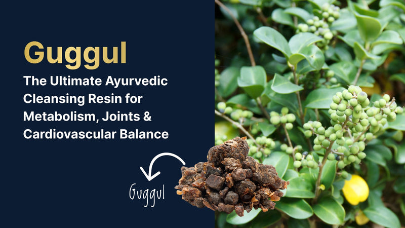 Guggul: The Ultimate Ayurvedic Cleansing Resin for Metabolism, Joints & Cardiovascular Balance