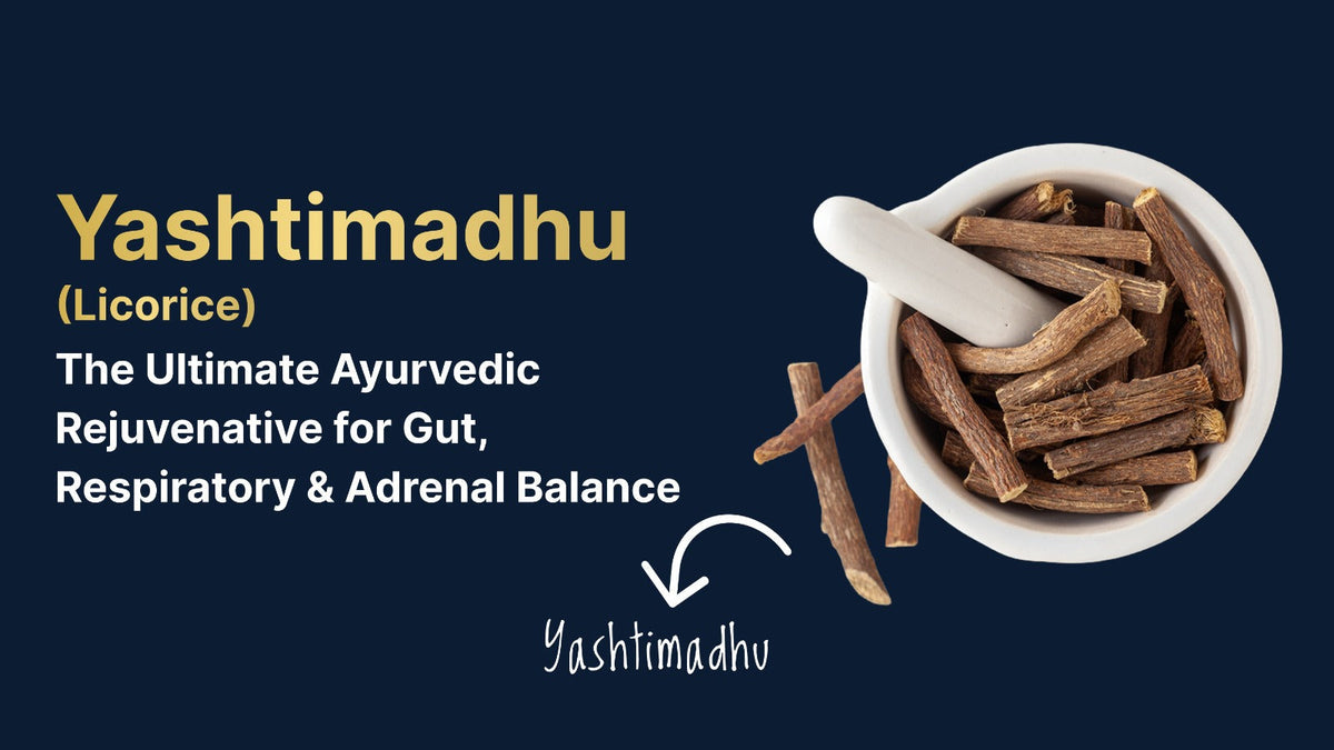 Yashtimadhu (Licorice): The Ultimate Ayurvedic Rejuvenative for Gut, Respiratory & Adrenal Balance