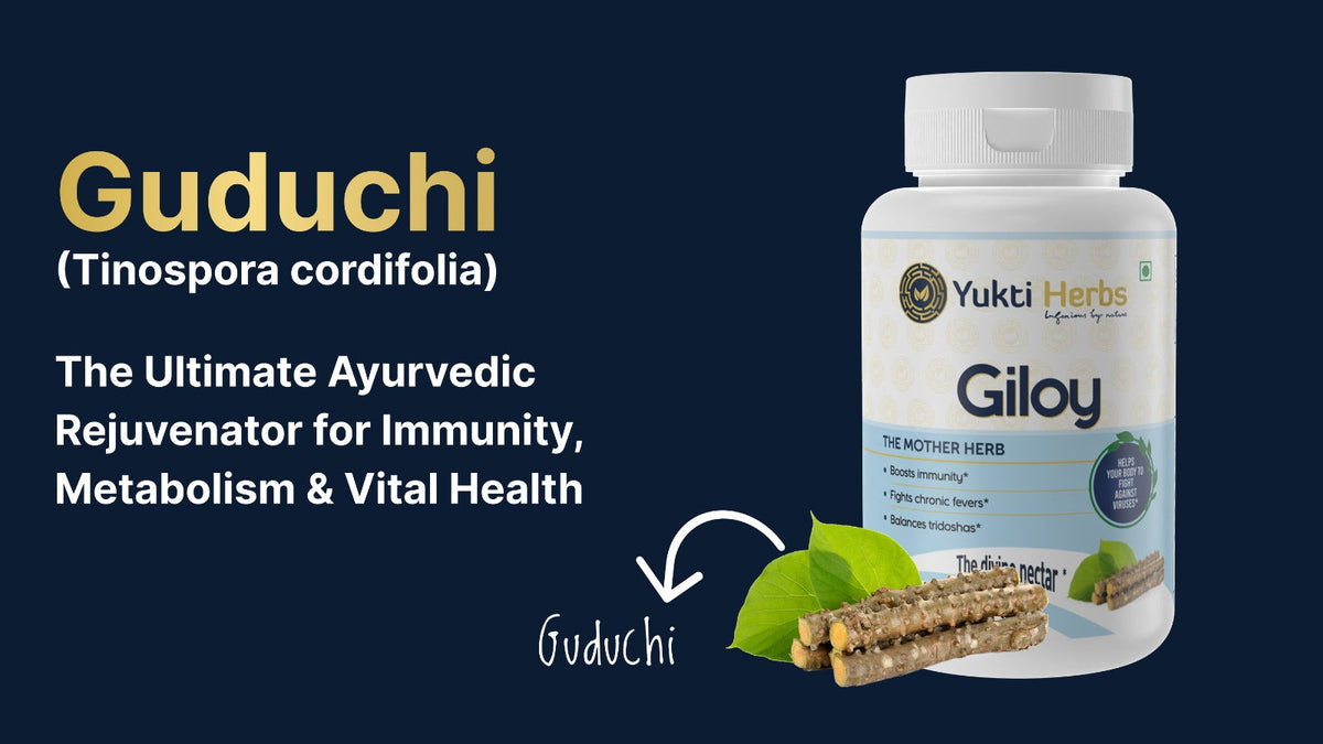 Guduchi: The Ultimate Ayurvedic Rejuvenator for Immunity, Metabolism & Vital Health