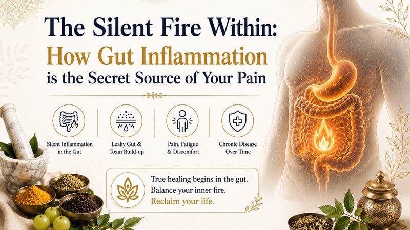 The Silent Fire Within: How Gut Inflammation is the Secret Source of Your Pain