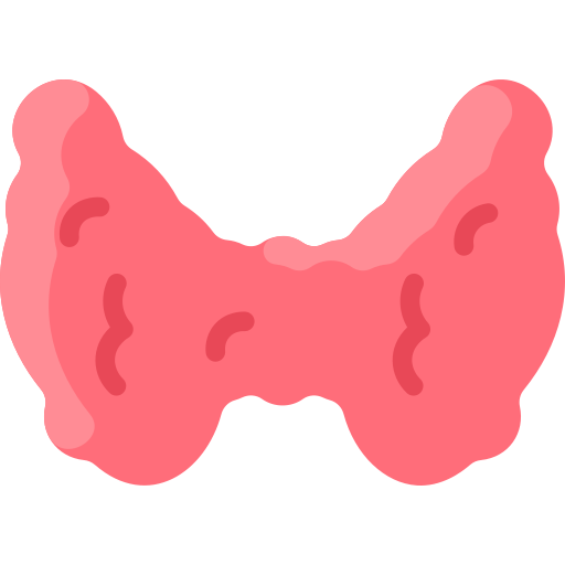 Thyroid