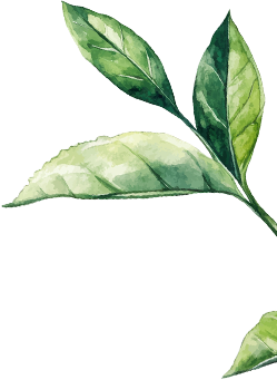 Ayurvedic leaf