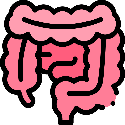 Digestive