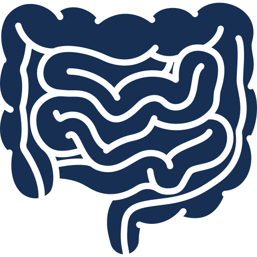 Digestive Disorders Icon Hover
