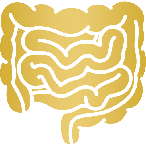 Digestive Disorders Icon