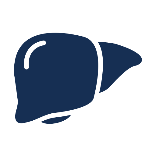 Liver Disorders Icon Hover