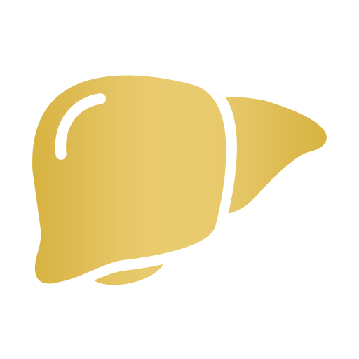 Liver Disorders Icon