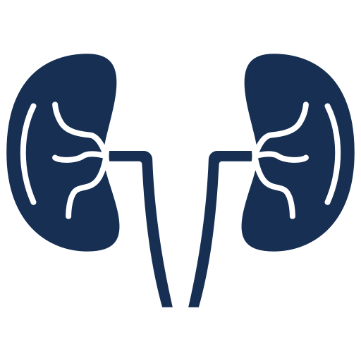 Renal Disorders Icon Hover