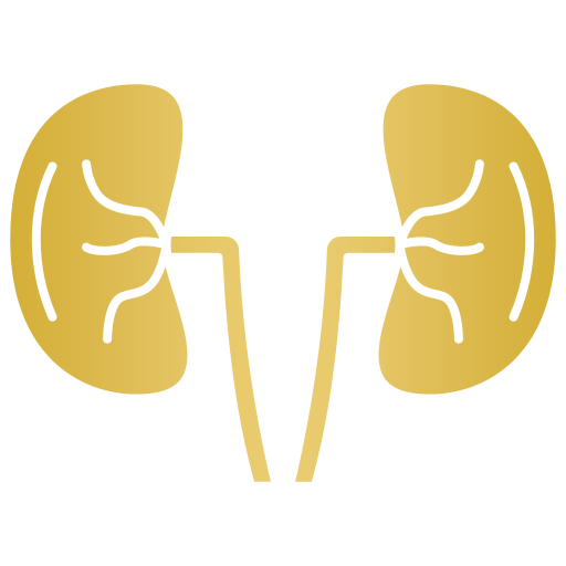 Renal Disorders Icon
