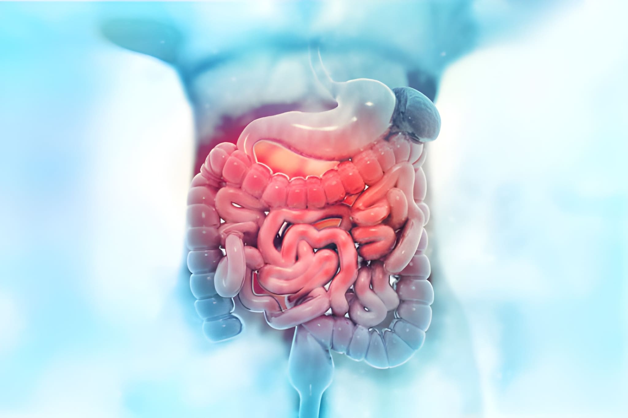 Panchakarma Immune Therapy