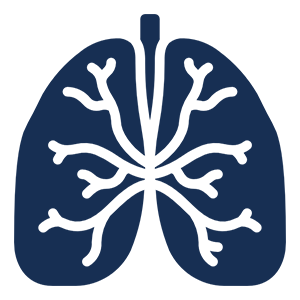 
  Respiratory Disorders Icon Hover