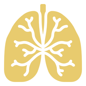 
  Respiratory Disorders Icon